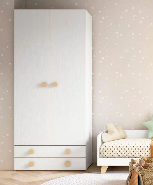 Armario Ros 2 puertas y dos cajones con distibución