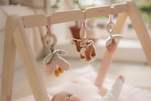 Baby GYM Little Dutch Fairy