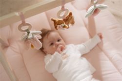 Baby GYM Little Dutch Fairy