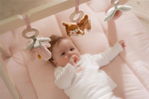 Baby GYM Little Dutch Fairy