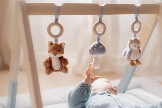 Baby GYM Little Dutch Forest