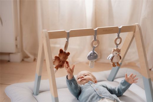 Baby GYM Little Dutch Forest