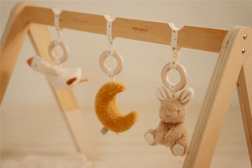 Baby GYM Little Dutch Naturals