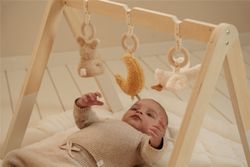 Baby GYM Little Dutch Naturals