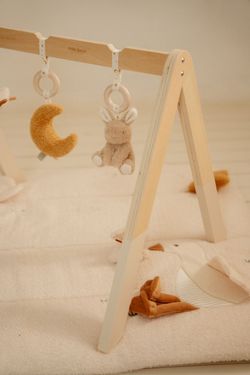 Baby GYM Little Dutch Naturals