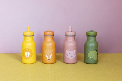 Botella térmica Trixie 350 ml Dino