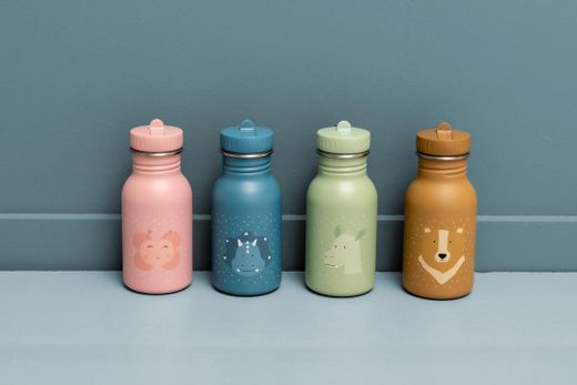 Botella Trixie 350 ml Dragon