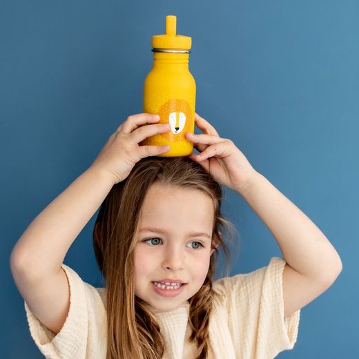 Botella Trixie 350 ml Lion
