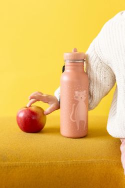 Botella Trixie 500 ml Cat