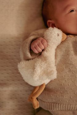 Caja de regalo Little Dutch Naturals