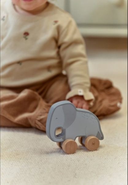 Caja de regalo Little Dutch Safari