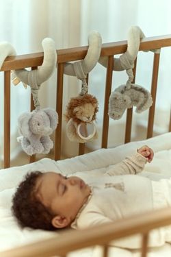 Espiral de actividades Little Dutch Safari
