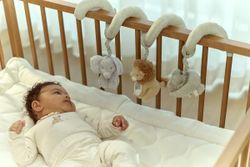 Espiral de actividades Little Dutch Safari