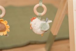 Gimnasio Little Dutch Granja