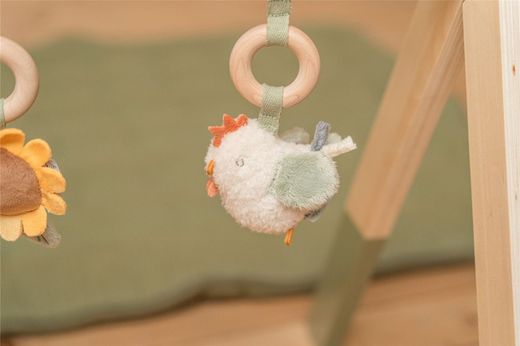 Gimnasio Little Dutch Granja