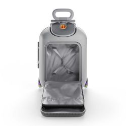Maleta infantil 2 en 1 con asiento Kinderkraft CABBY Gris