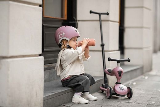 Patinete Higwaykick 1 puch and go Scoot and Rider Wildberry